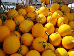 -三旗百汇商品城