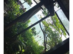 -卷心菜和避孕套餐厅(Pattaya)