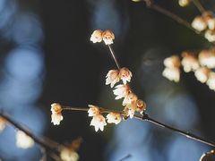-颐和园