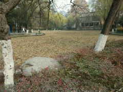 -西安市长乐公园