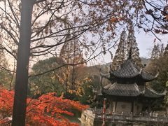 -习家池