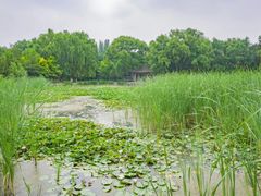 -青城公园