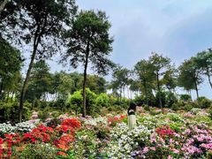 -南山植物园
