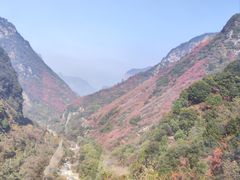 -少华山国家森林公园