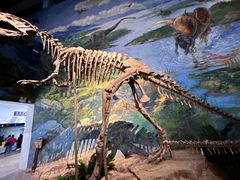 -自贡恐龙博物馆