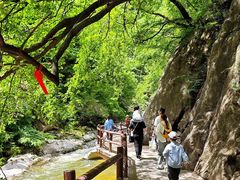 -黑河国家森林公园
