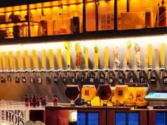 -麦落精酿啤酒餐吧(先农大院店)
