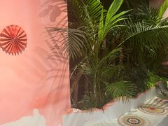 -菌林天下·野生菌汤锅