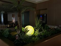 -宏宴·新京菜(望京店)