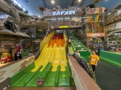 -卡通尼·Safari非洲探索乐园·生日会(金桥国际商业广场店)