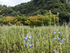 -天河潭旅游度假区