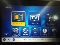 -全日本空输株式会社(上海办事处)
