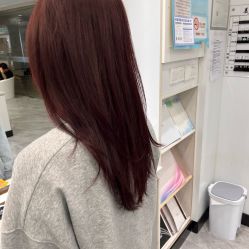 -镁连社·美联社