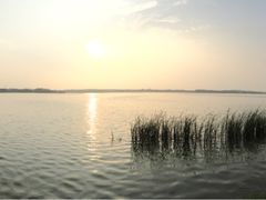 -丁香湖公园