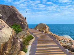 -广东惠东海龟国家级自然保护区