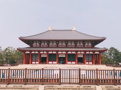 -奈良公园