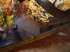 -潭柘寺景区