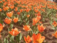 -长春公园(普阳街道)