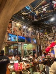 -卡通尼·Safari非洲探索乐园·生日会(金桥国际商业广场店)