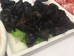 木耳-德龙火锅(松源街直营店)