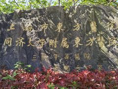 -上海市东方医院南院体检中心
