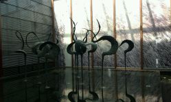 -苏州太湖国际会议中心·香山酒店·宴会厅