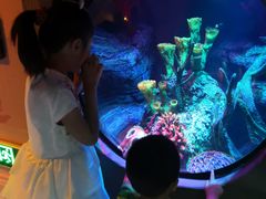 -沈阳海洋探索中心