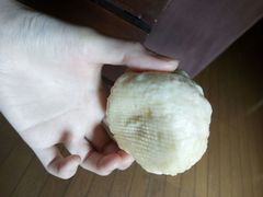 -老陶包子铺(南大西南村店)