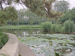 -南翠屏公园