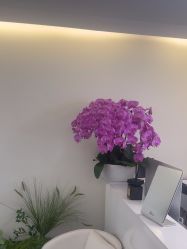 -海涛医疗美容·面部抗衰·注射美鼻