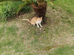 -上海市材料工程学校