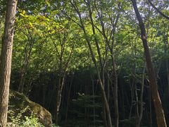-云岫谷自然风景区