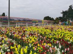 -广东花都香草世界旅游度假区