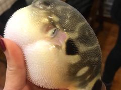 -观桥阁(锦溪店)