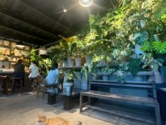-自由生长植物工作室(深港花卉中心店)