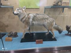 -陕西自然博物馆