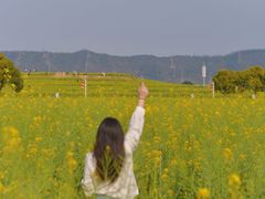 -光明小镇欢乐田园