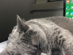 -派悦坊·甜品·蛋糕(日坛店)