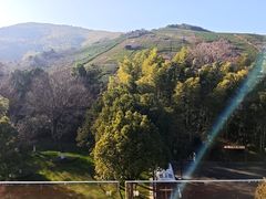 -天目湖御水温泉·度假酒店