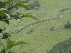 -大围山国家森林公园