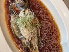 -望乡楼上海菜(日月光店)