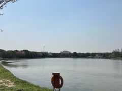 -广富林郊野公园