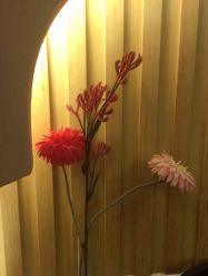 -永琪美容美发全国直营连锁