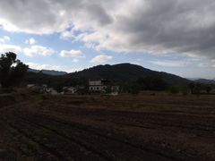 -塔川景区