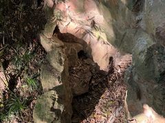 -中国茶叶博物馆(双峰馆区)