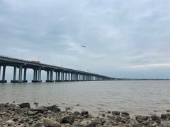 -宝安西湾红树林湿地公园