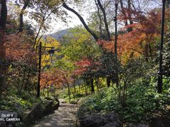 -吴山景区