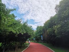-城市运动公园(未央区)