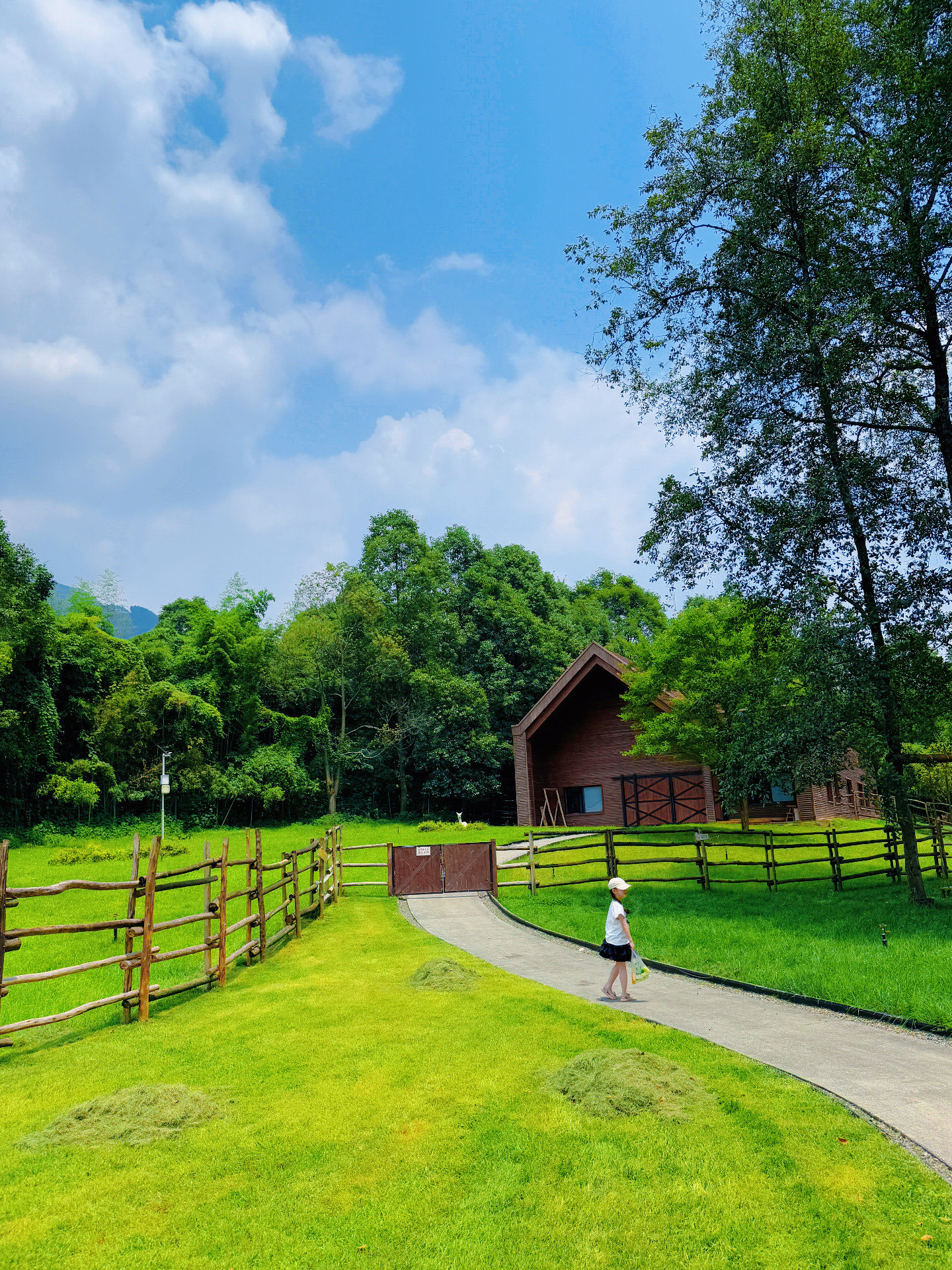 成都1.5h小众亲子避暑,徒步,耍💦,喂🦌