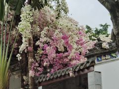 -深圳国际园林花卉博览园